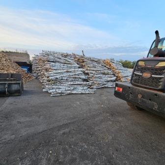 Территория